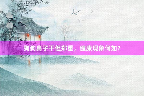狗狗鼻子干但郑重，健康现象何如？