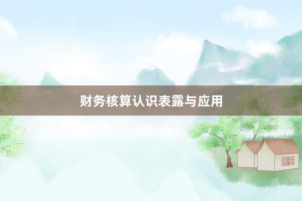 财务核算认识表露与应用